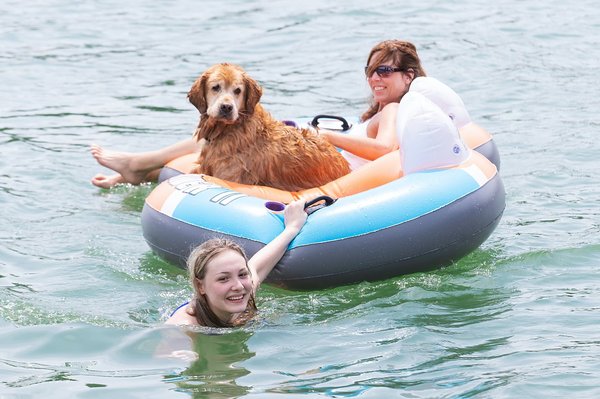 Float Tube : Assise Mousse vs Gonflable - Lequel Choisir ?